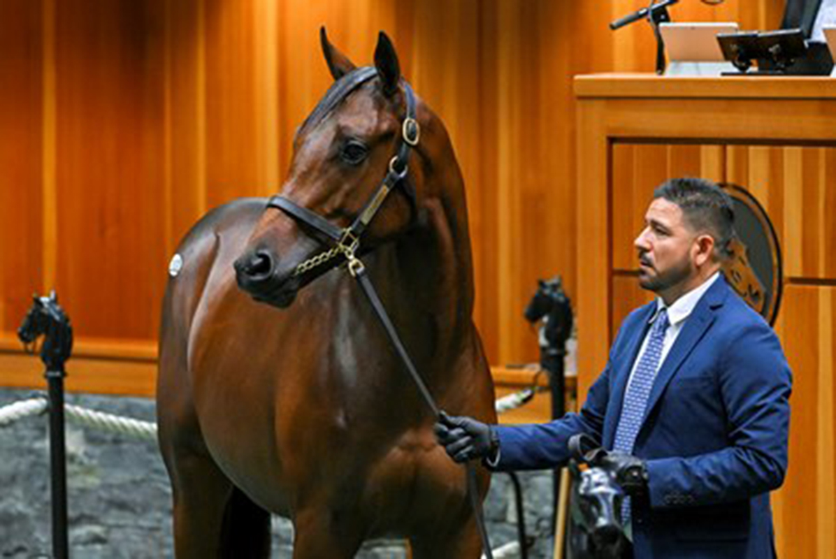 Gun Runner out of Heavenly Love colt, who sold for US$2.3 million at Saratoga sale.
