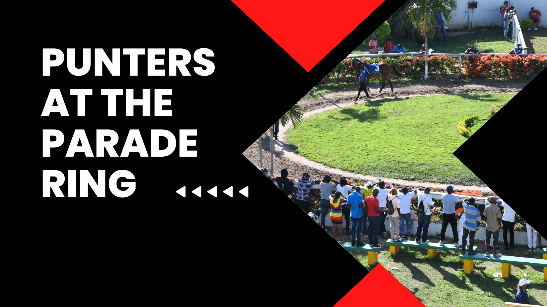 PUNTER THJE PARADE RING 02