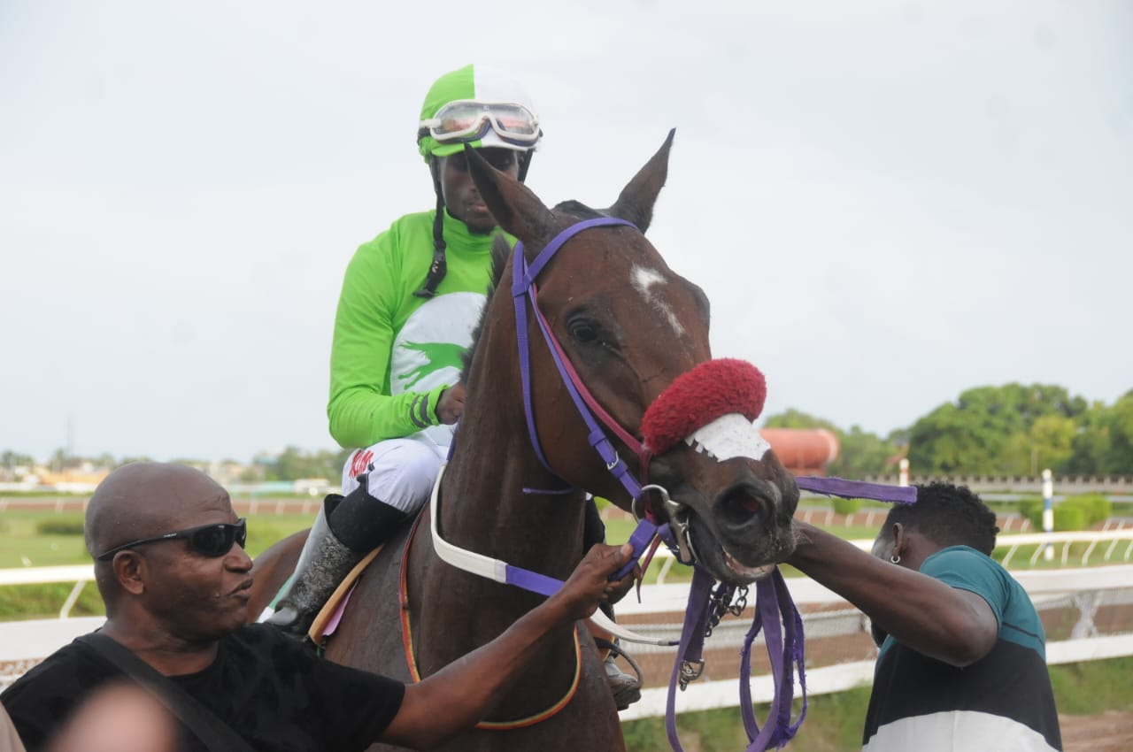 Shavon Townsend on Mack An Rome.