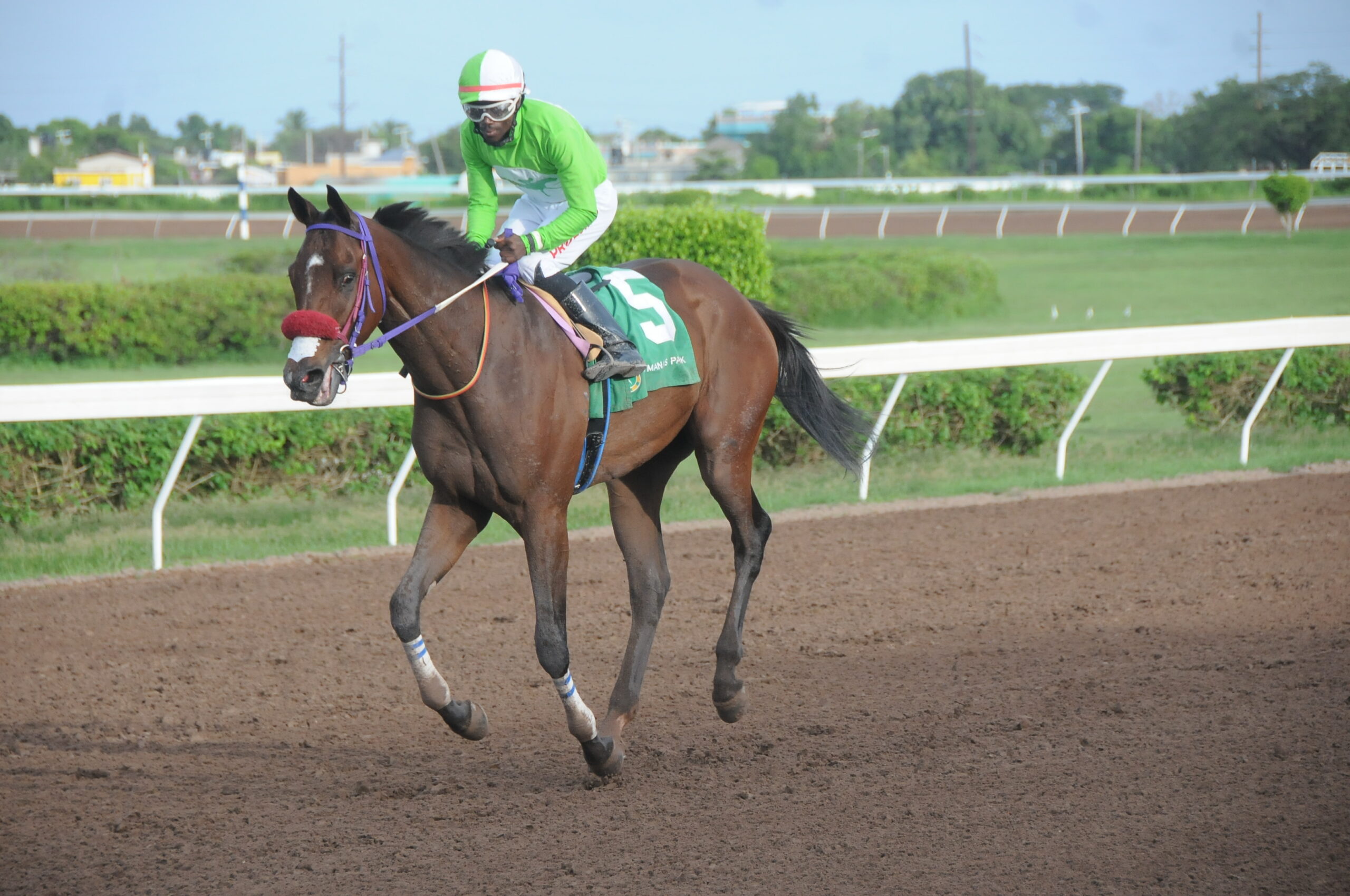 Mack And Rome - Shavon Townsend