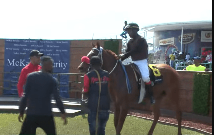 Phoenix Risen first winner in 2025 with Paul Francis in the saddle.