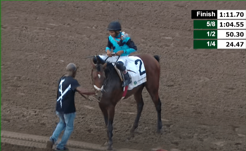 Raddesh Roman on his fifth winner, Money Box