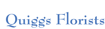 Quiggs Florists