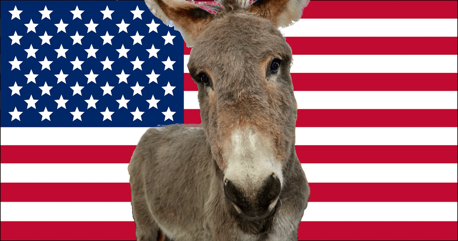 Democrats: Leadership Versus Base