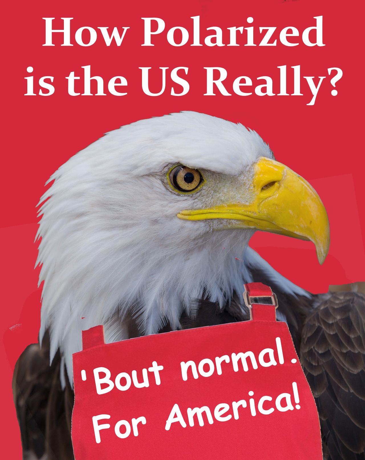 How Polarized is the US Really?