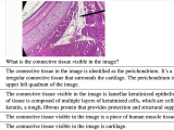 Quilt Llava Visual Instruction Tuning By Extracting Localized