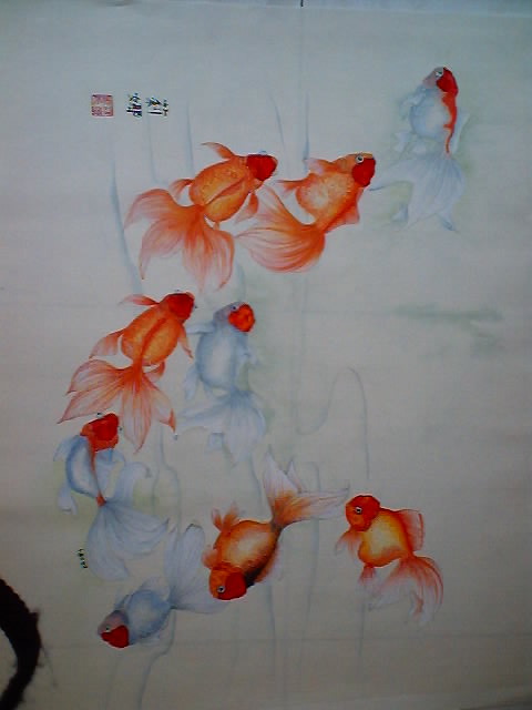 9goldfish
