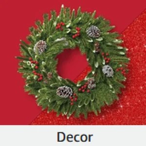 Amazon the Holiday Shop Decor!