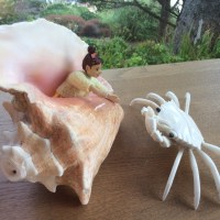 Denizens of the shore