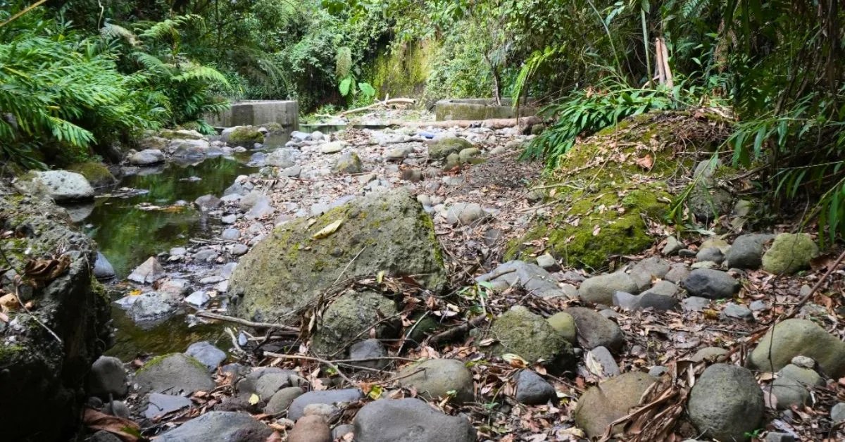 ¡Es hora de ahorrar! Filandia y Circasia enfrentan suspensiones de agua por disminución de los caudales