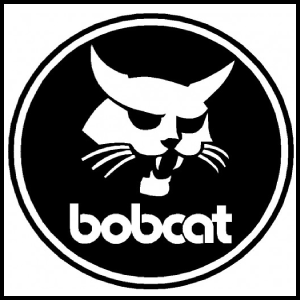 Bobcat