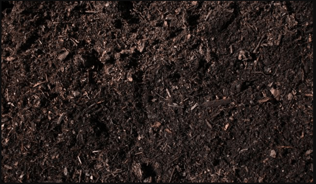 Lahan gambut dangkal memiliki ketebalan tanah gambut mulai dari 50cm sampai dengan 100cm. Tanah Humus Pengertian Proses Ciri Jenis Dan Manfaat