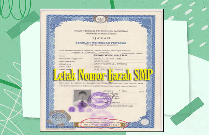 Ini Letak Nomor Ijazah Yang Benar Dan Contohnya Awas Jangan Sampai Salah Ya Mamikos Info 