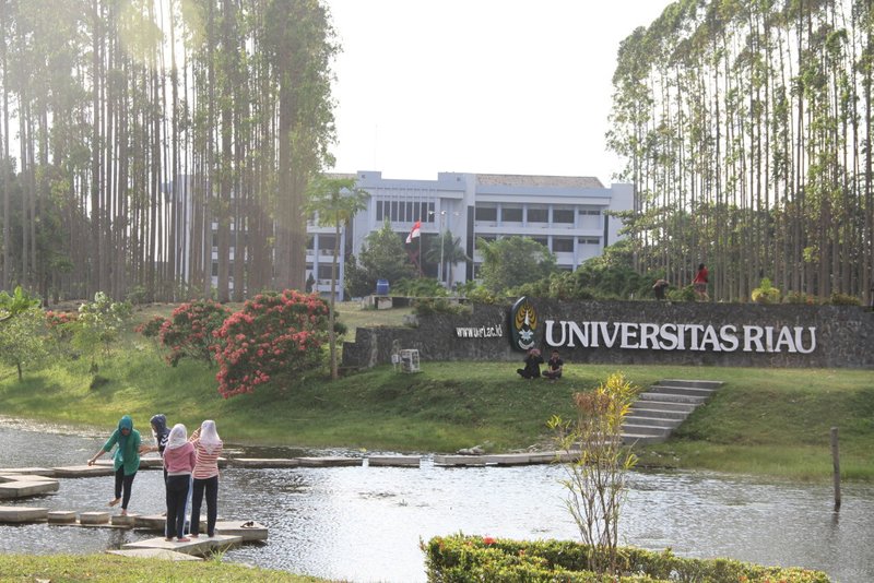 Program studi, daya tampung per ptn tahun 2017 dan jumlah peminat . Mau Jadi Mahasiswa Universitas Riau Kamu Bisa Masuk Melalui Jalur Pbud Pbd Ini