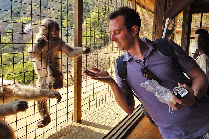 Feeding the wild monkeys at Arashiyama - YOU are in the cage! This is a real Japan bucket list experience!