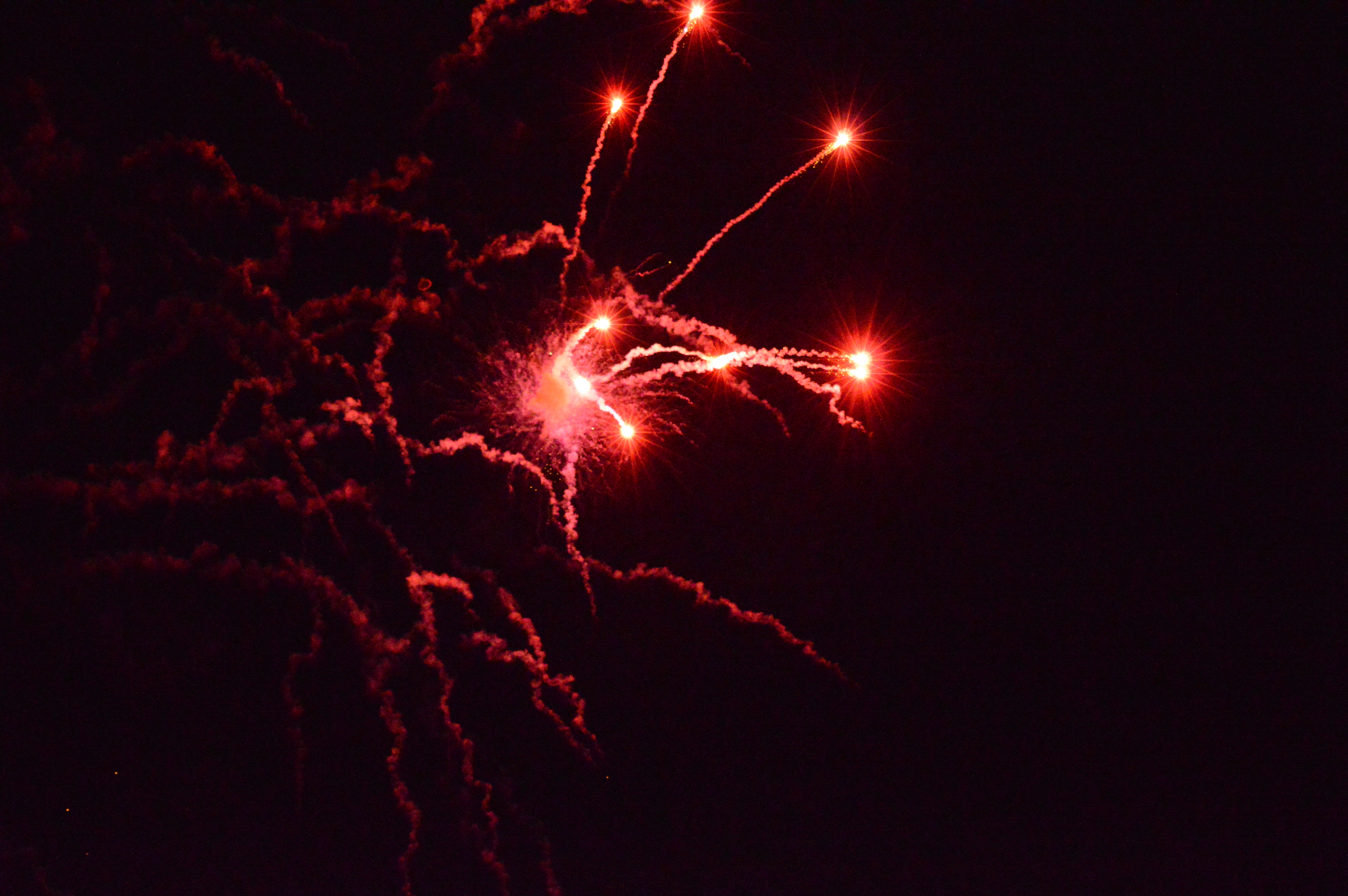 DSC_0425
