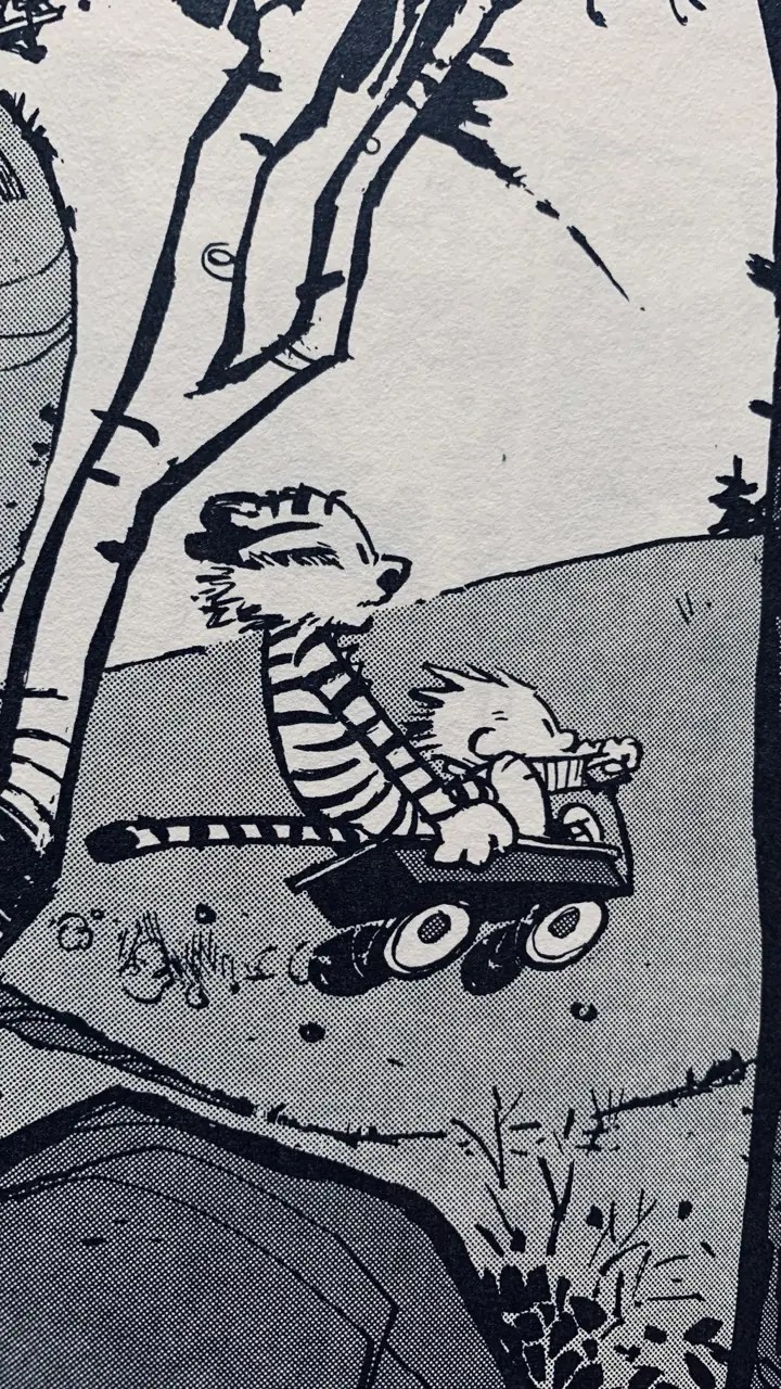 Back on the WP Wagon