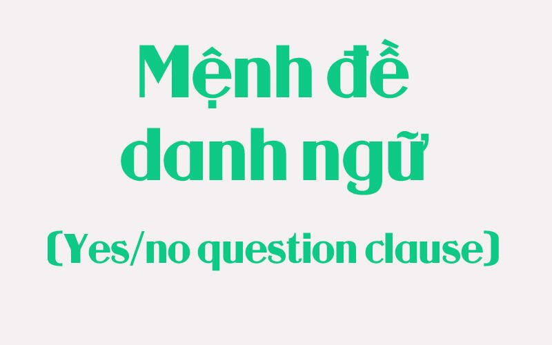 Yes/no question clauses