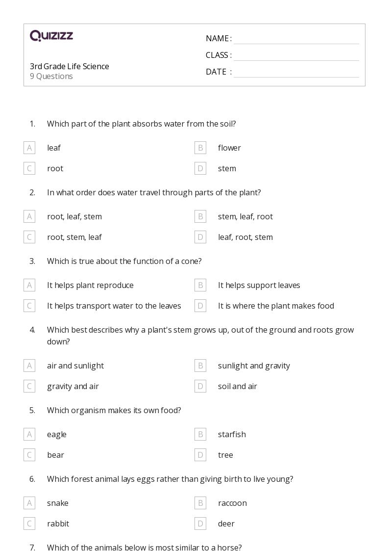 50+ science worksheets for 5th grade on quizizz