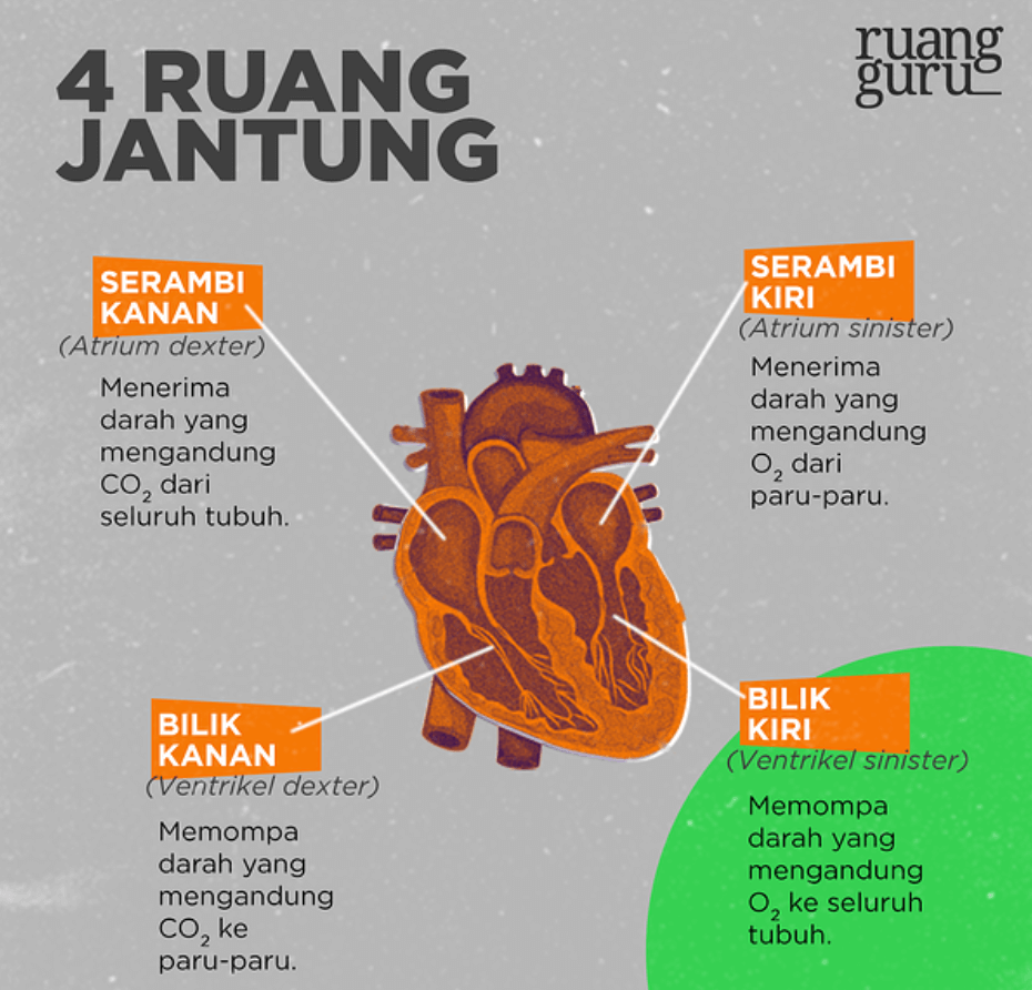 IPA KELAS 5 TEMA 4 | Other - Quizizz