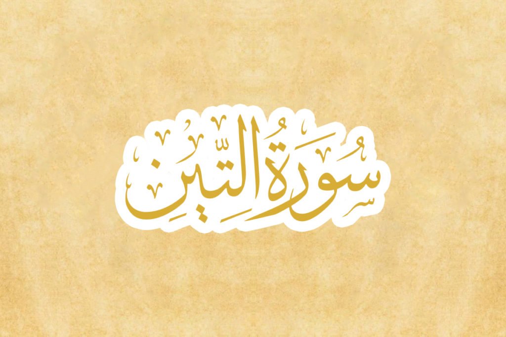Yang dimaksud tempat serendah rendahnya dalam surat attin adalah neraka. Memahami Makna Surah At Tin Quiz Quizizz