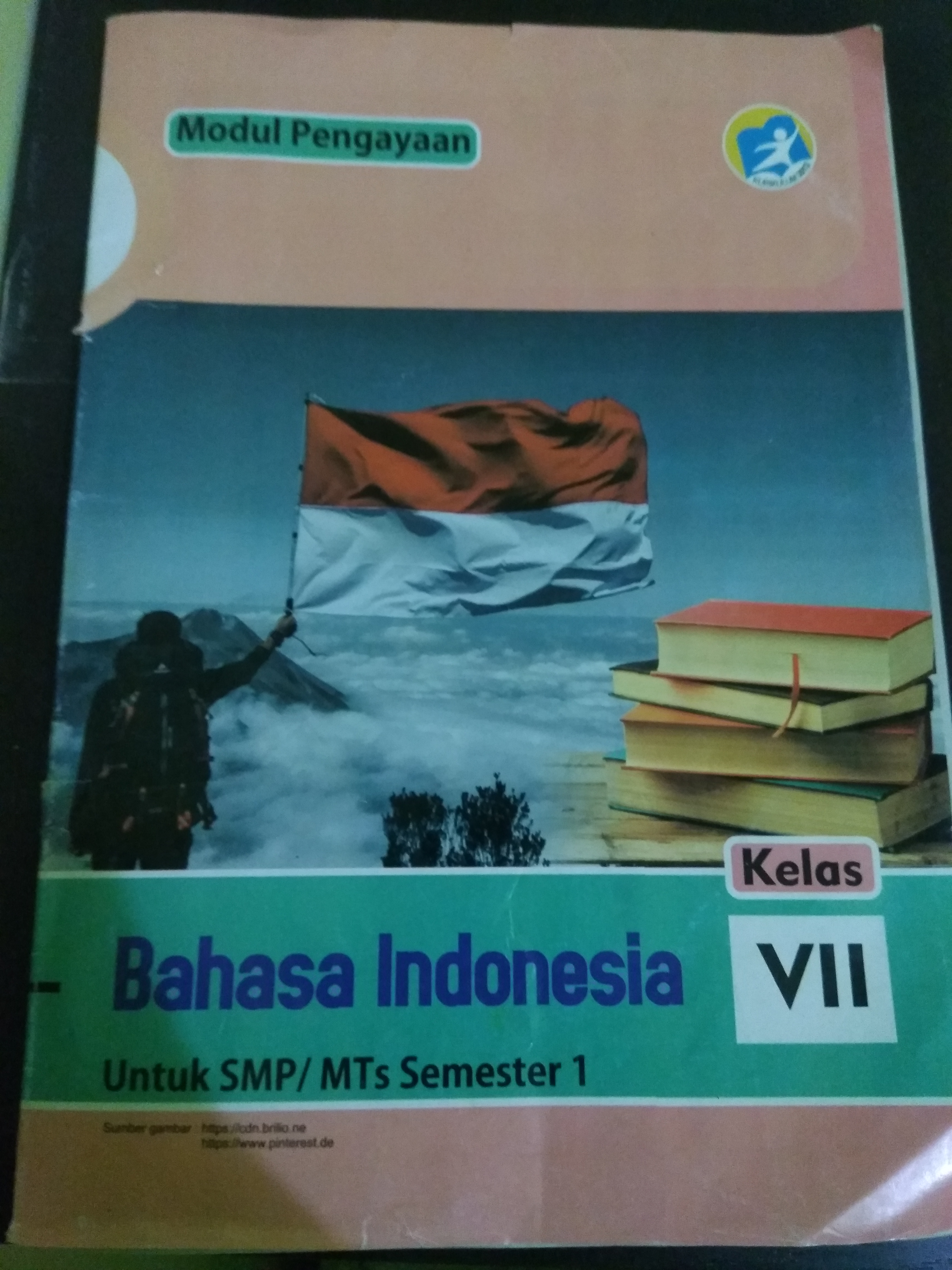 Deskripsi yang bertujuan memberi identifikasi atau informasi mengenai objek. Remedial Pts Bahasa Indonesia Kelas 7 Education Quizizz