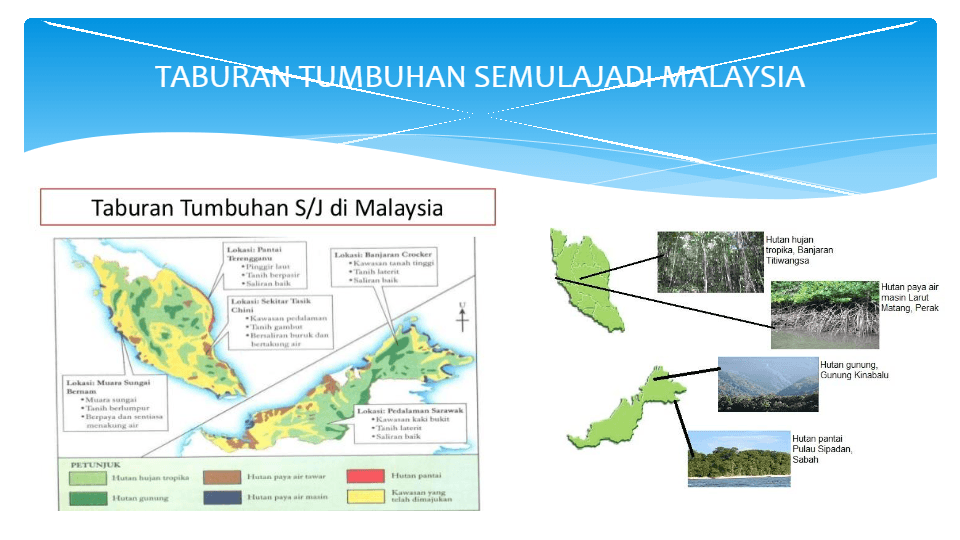 Iklim panas dan lembab sepanjang tahun suhu . Flora Dan Fauna Geography Quizizz