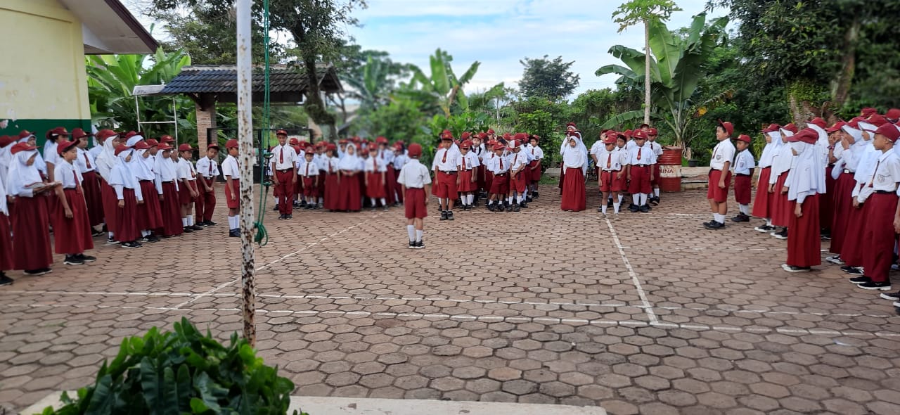 Pak amin mempunyai 20 ekor ayam, 16 ekor itik, dan 12 ekor angsa. Penilaian Tengah Semester Mathematics Quiz Quizizz