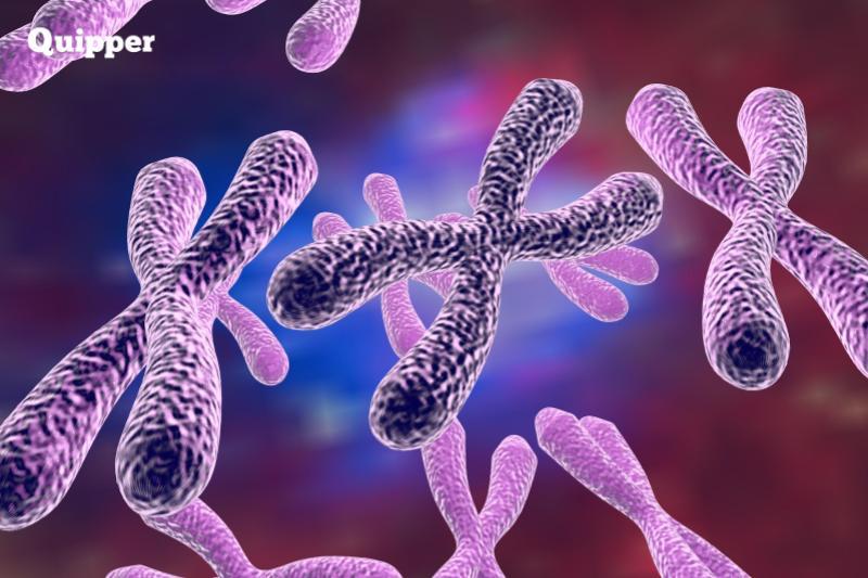 MUTASI Quiz - Quizizz