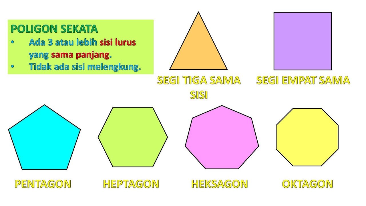 Garis lipatan mewakili sebagai paksi simetri. Poligon Sekata Mathematics Quizizz