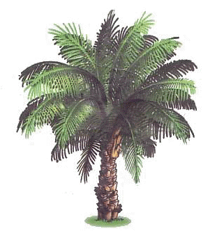 You can do the exercises online or download the worksheet as pdf. Pokok Kelapa Sawit Science Quizizz