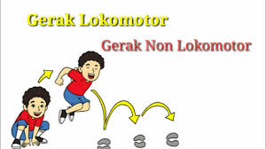Tiga yaitu gerak lokomotor, nonlokomotor dan gerak manipulatif. Gerak Lokomotor Non Lokomotor Manipulatif Quiz Quizizz