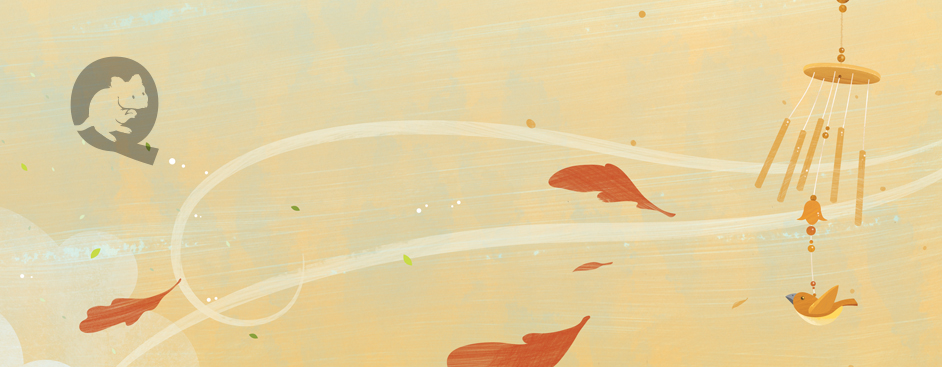 illustration – Quokka Studio