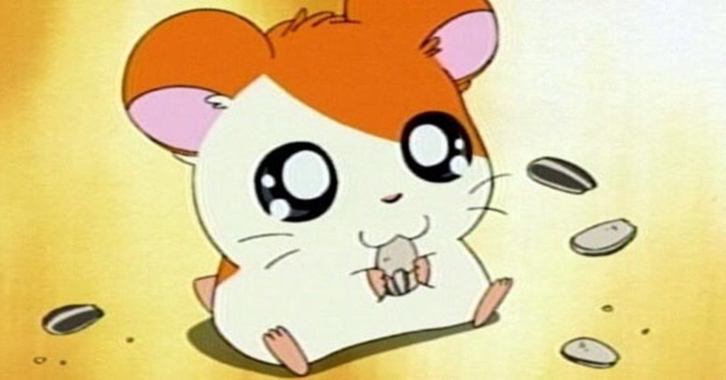 Hamtaro, Anime concepts