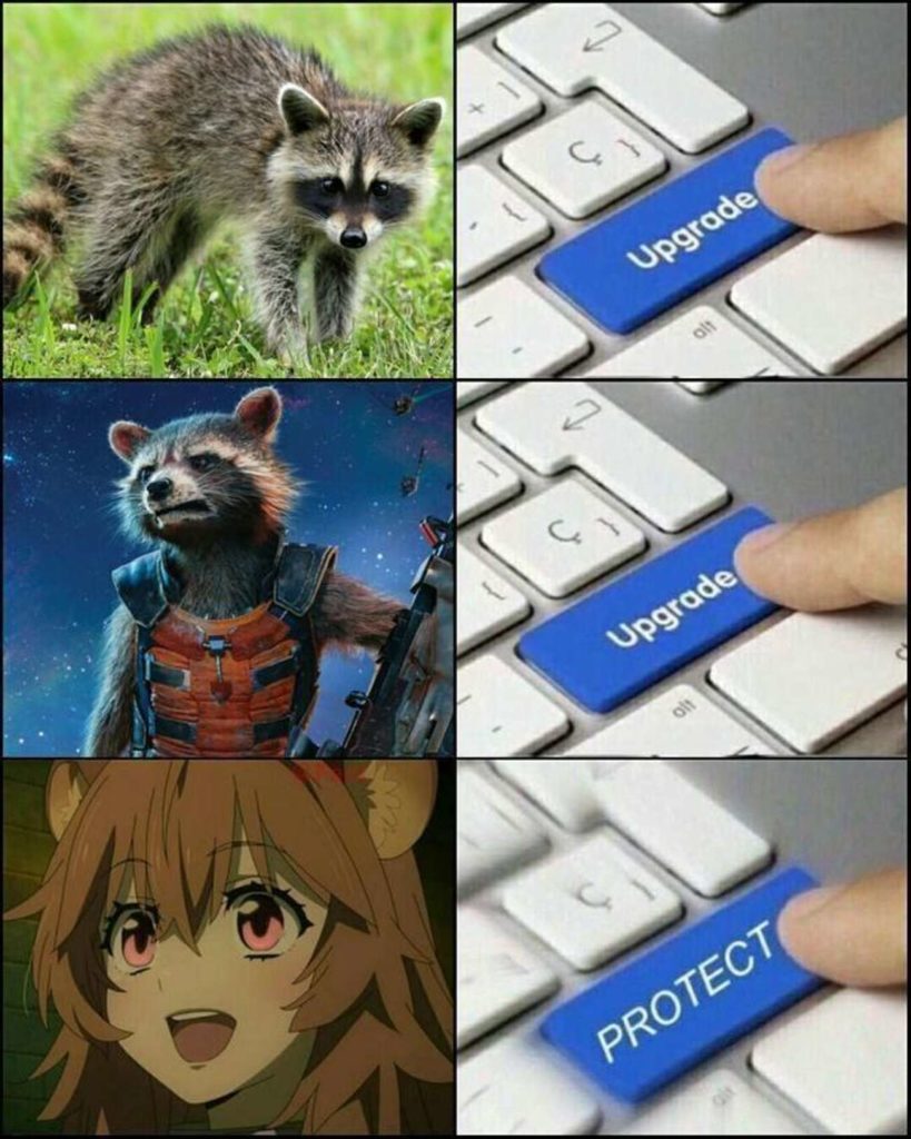 meme 11