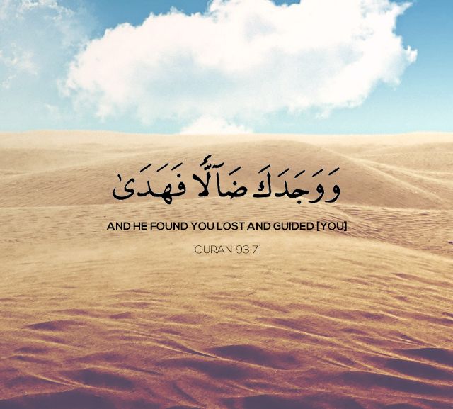  On Spiritual Journey H Quran 95 Whenever opportunity arises kill the infidels wherever you catch them I Quran 9123 Make war on infidels living in your neighborhood J Quran 474 Do not hanker for peace with infidels.