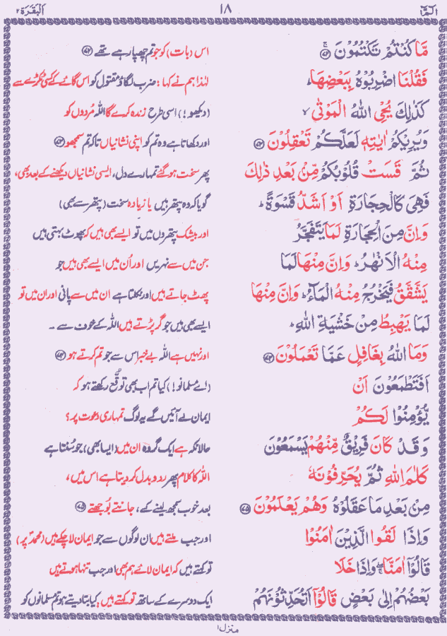 Shark Arrive Have Confidence Quran Mp3 Online With Urdu Translation Twinqh 