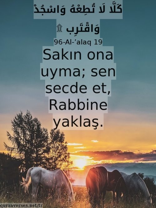 Namaz Konusunda En Cok Merak Edilenler Sorularla Islamiyet