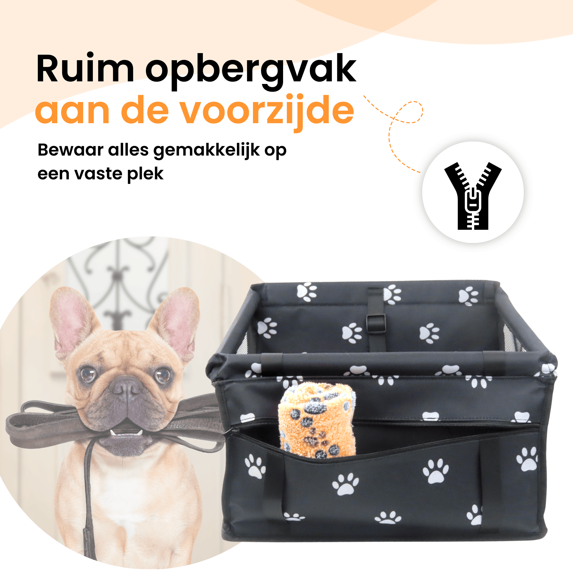 Quzi