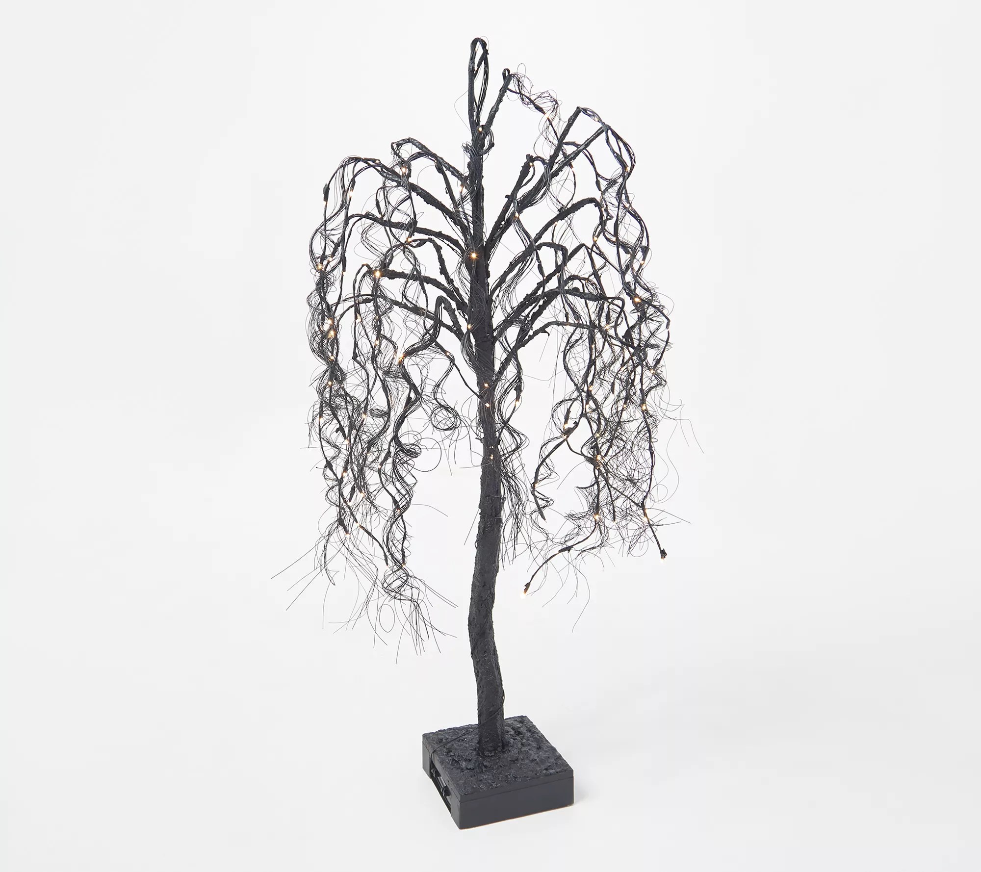 Black Willow 1 Gallon Ferguson Tree Nursery