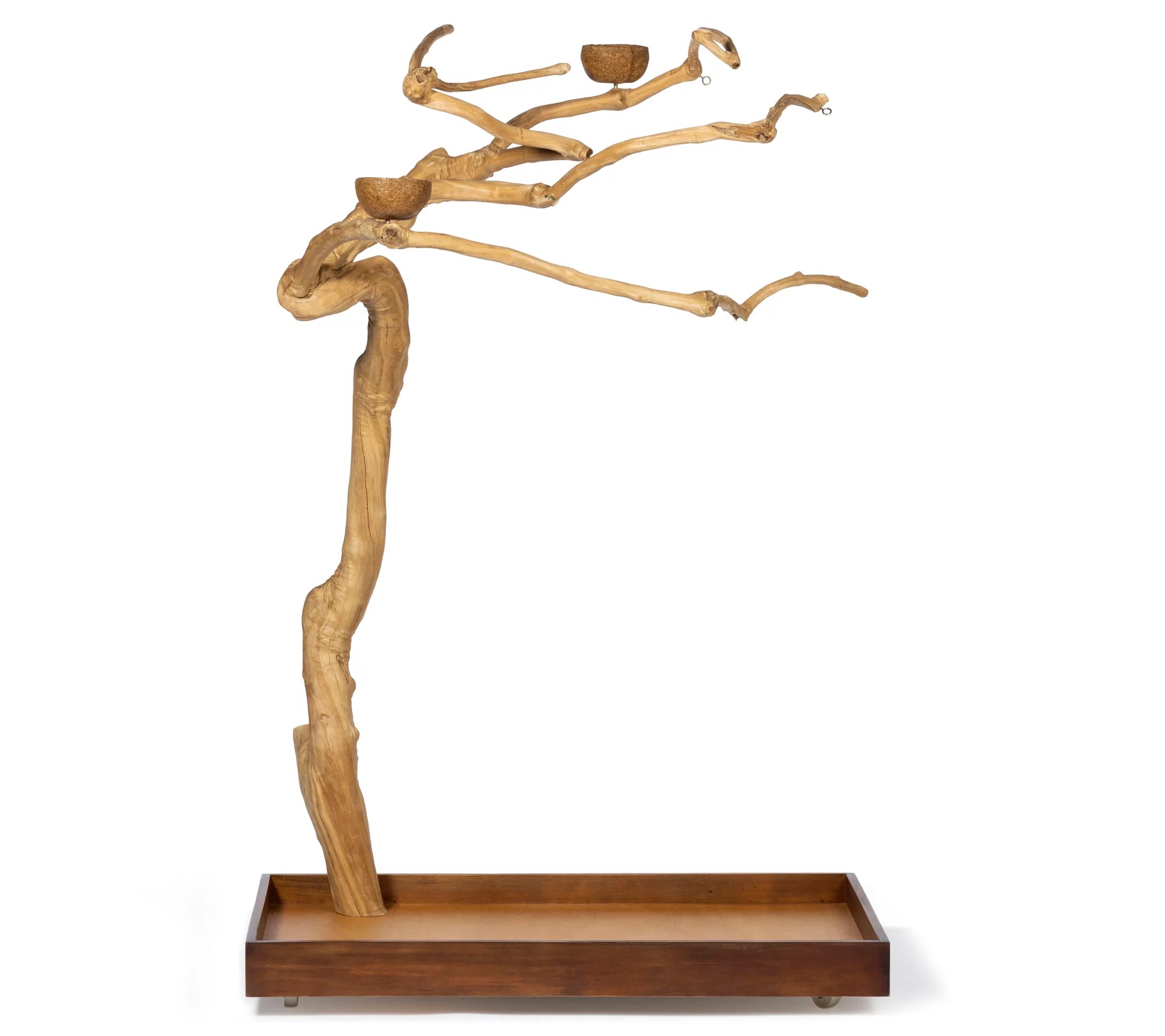 Mini Java Tree Small Parrots Fun