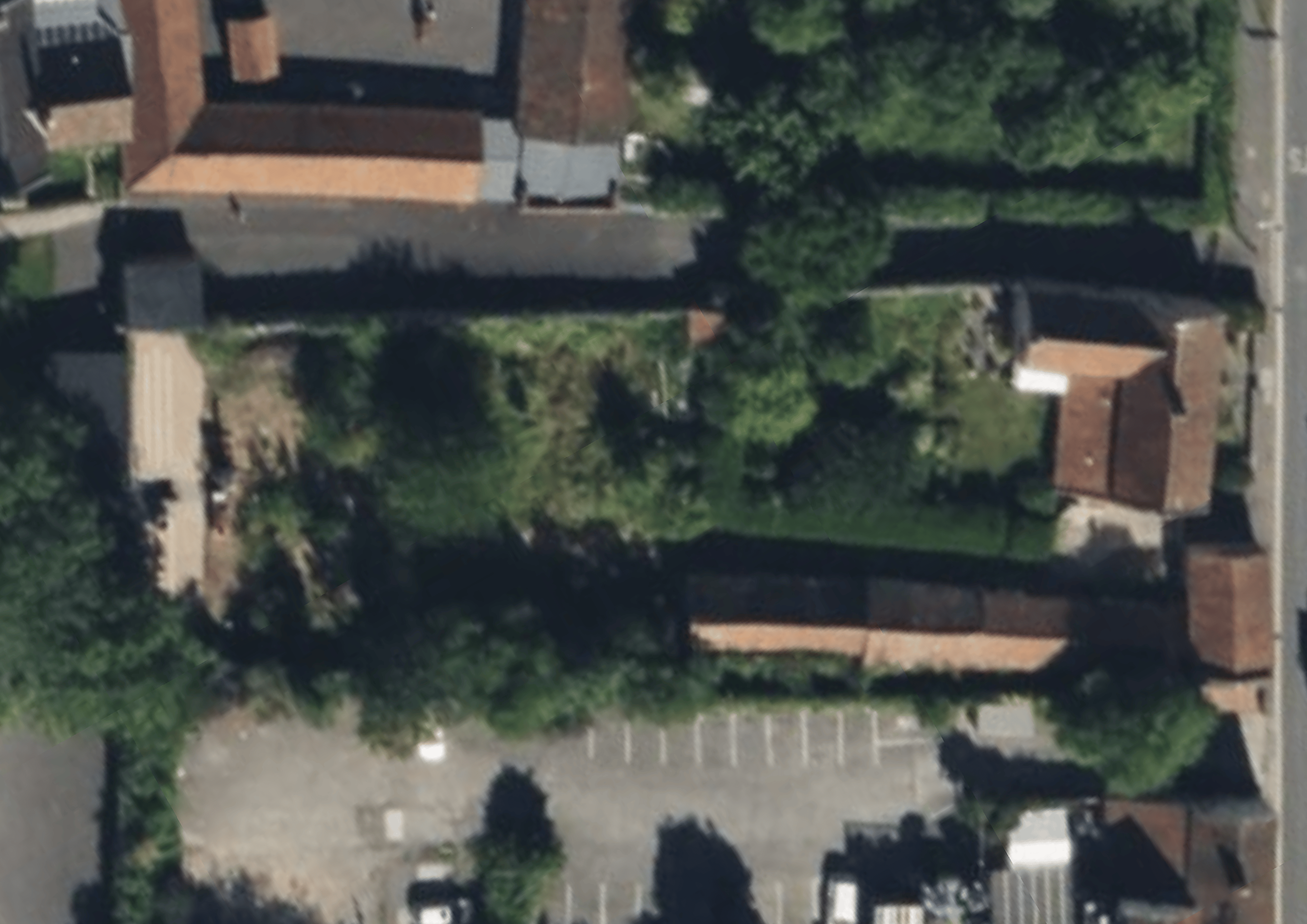 Before image
