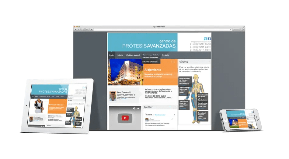 Case of study of work with Prótesis Avanzadas web-based Medical System