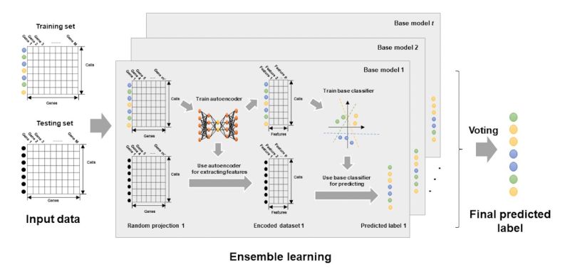 Github Tianwei Yu Aime Autoencoder Based Integrative Multi Omics - Desktop Mountain Textures for Desktop
