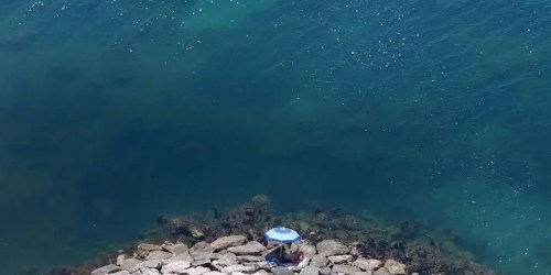 Copernicus: zeewater nu warmer dan ooit dit seizoen
