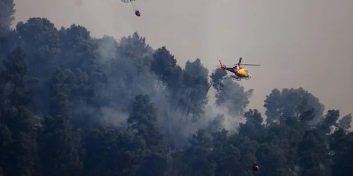 Doden door bosbranden in Almería: zes slachtoffers