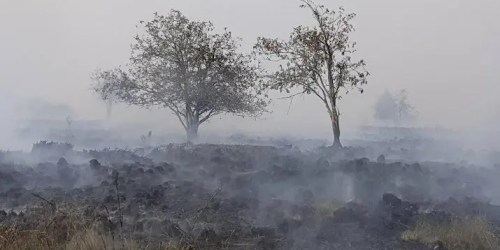 Hoge Venen: Ruim 2000 hectare verbrand
