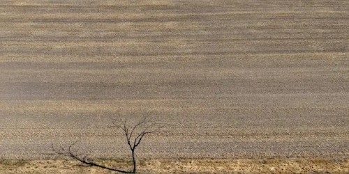 Honderden miljoenen droogtesteun voor Oostenrijkse boeren