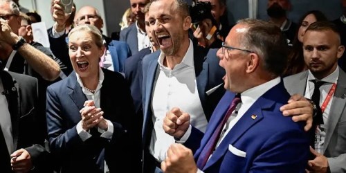 AfD schrijft geschiedenis in Saksen-Anhalt: 44% stemmen