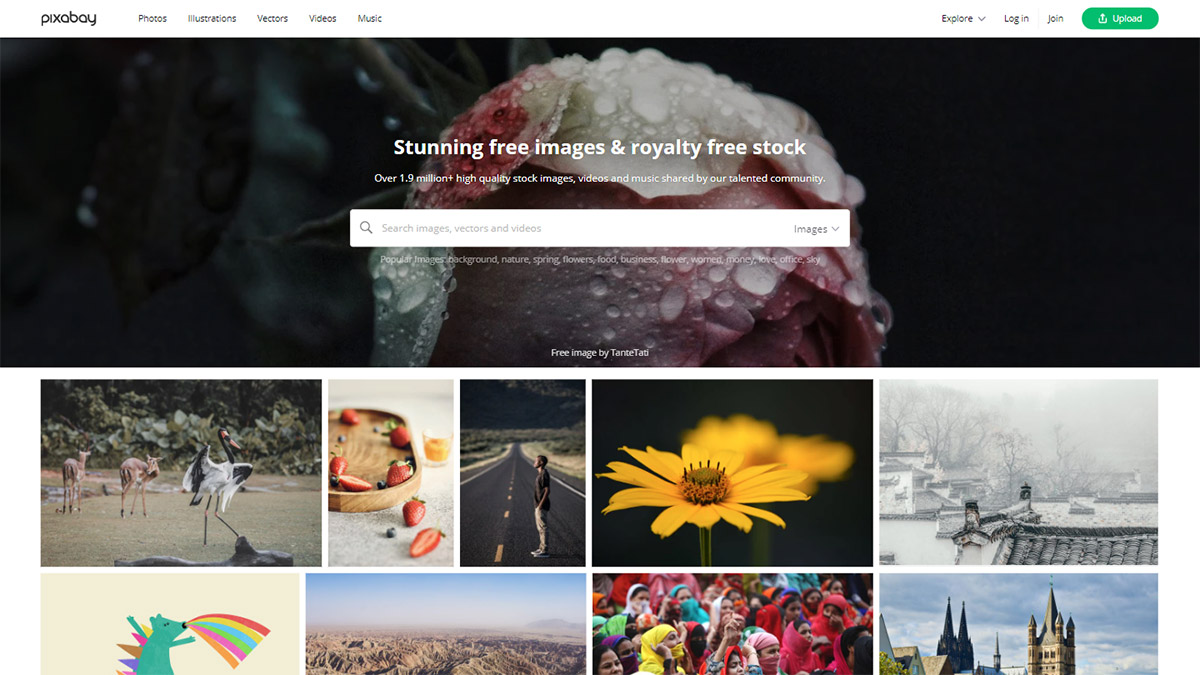 Download the perfect art reference pictures. Best Free Image Resources For Artists In 2022